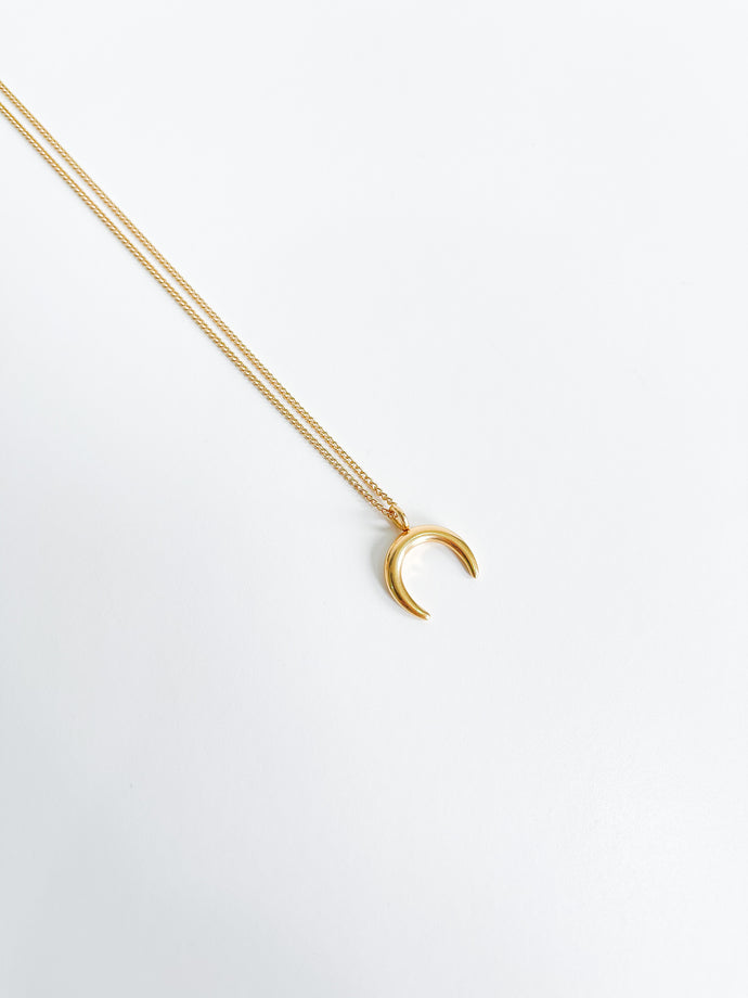 Crescent Horn Necklace